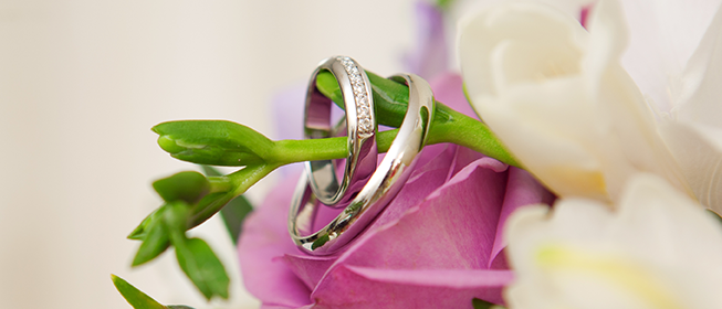 Flower and Rings